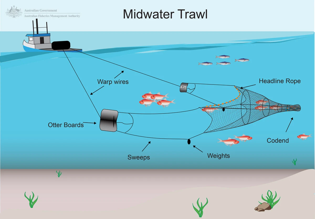 Istwa a nan lapèch Trawl